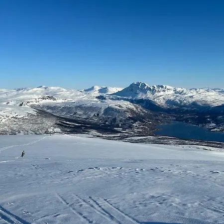 Sjosiden Alpehytte Lii