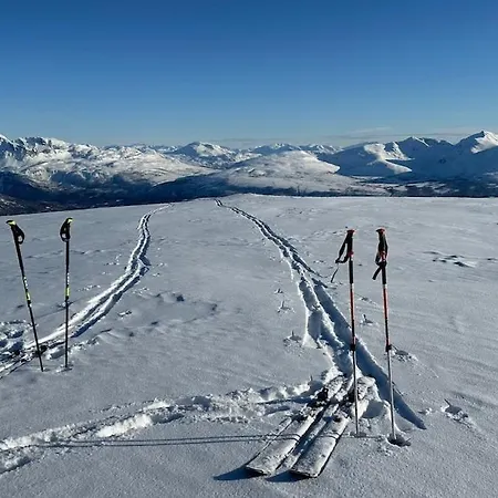 Sjosiden Alpehytte Lii