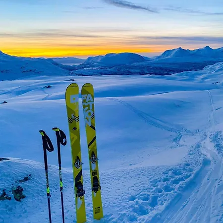 Sjosiden Alpehytte Lii