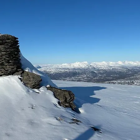 Alpehytte Sjosiden