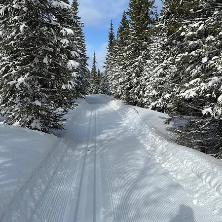 Horská chata Sjosiden