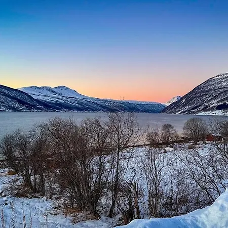 Sjosiden Dağ evi Lii